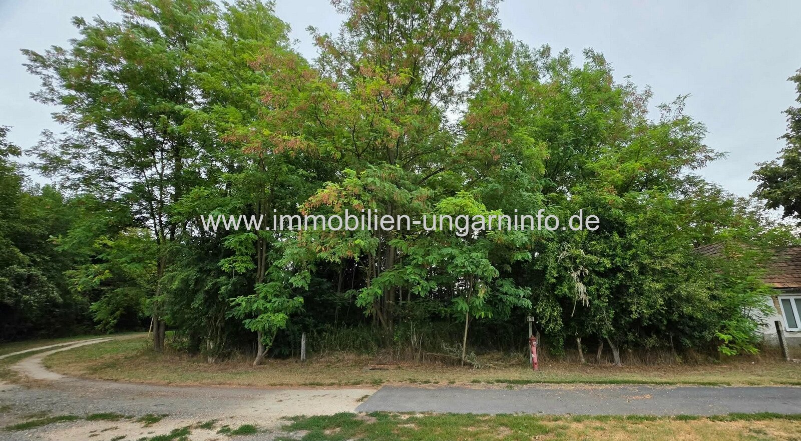 Baugrundstück in Tikos, 8 km vom Balaton entfernt Baugrundstück in Tikos, 8 km vom Balaton entfernt
